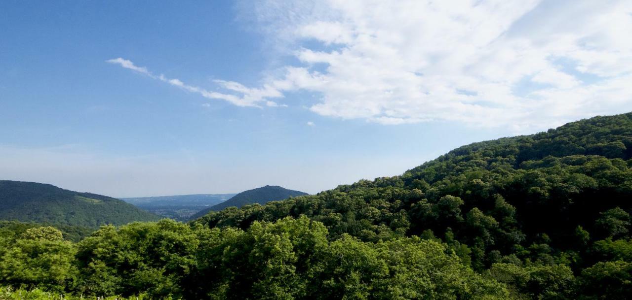 Biss Badaliss - Bed & Breakfast Valdobbiadene Exterior foto